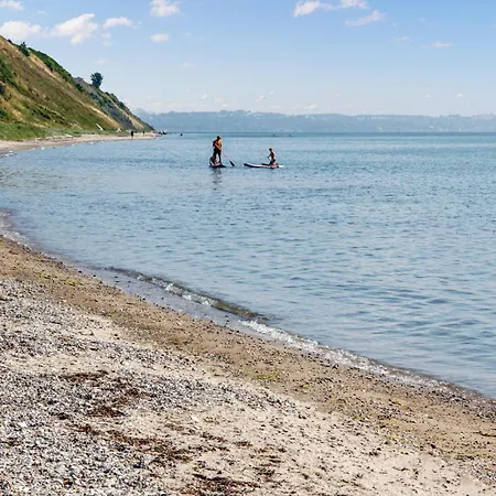 Dom wakacyjny Skovsangervej X